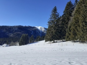 Feldbergblick Feldbergblick